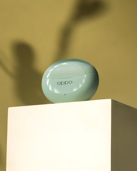 Wireless earbuds case