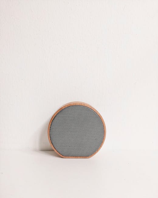 Portable Speaker