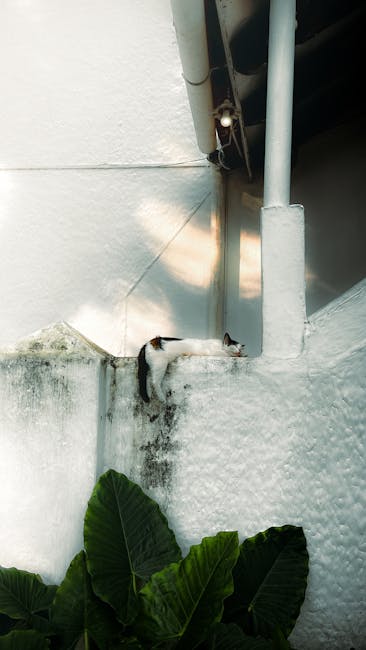 Reviews-1764547538579