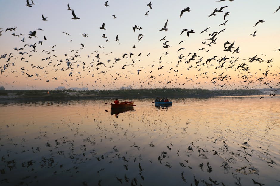 reviews-1776850301931